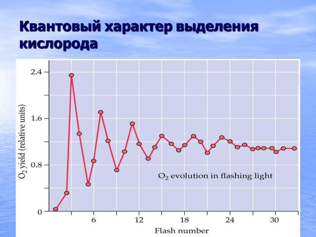 Квантовый характер выделения кислорода